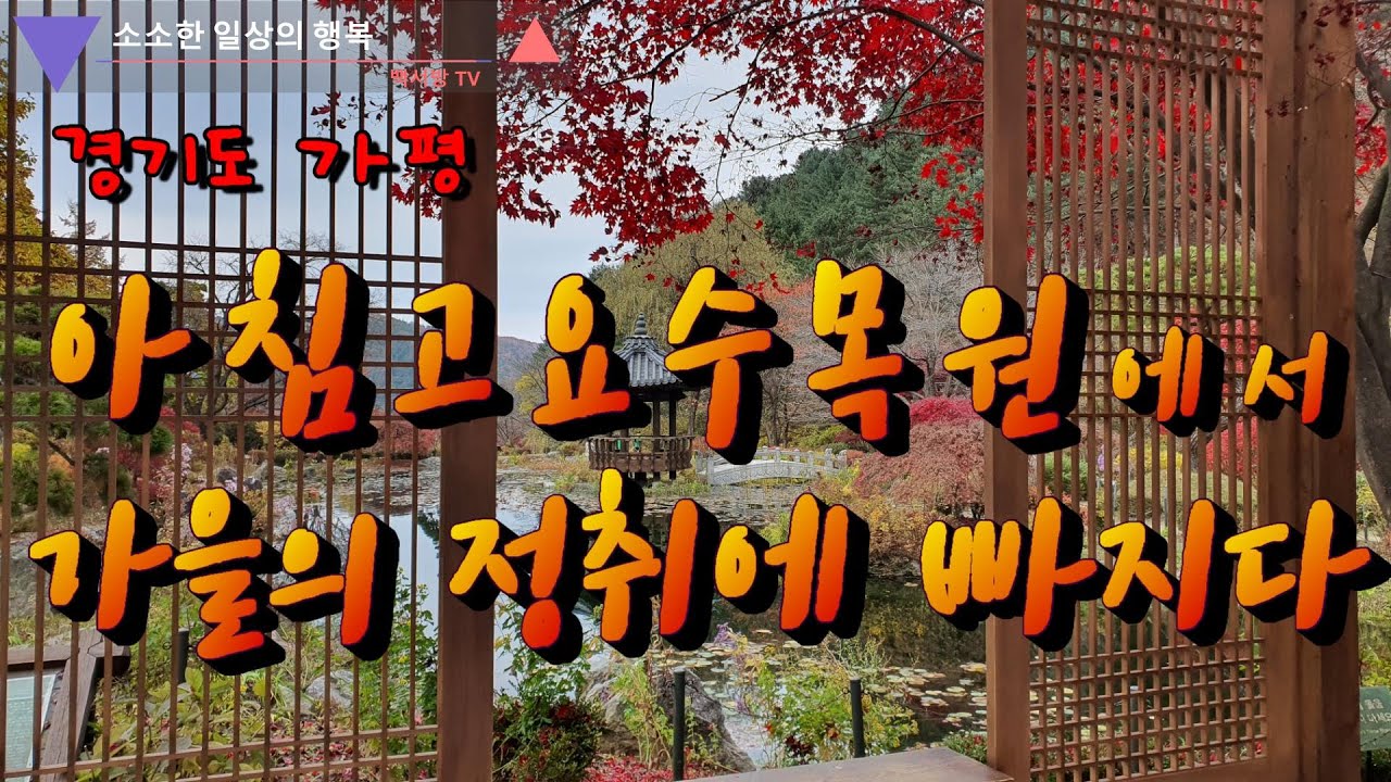 단풍여행 _ 가평 아침고요수목원에서 가을 정취에 흠뻑 빠지다 _백서방TV