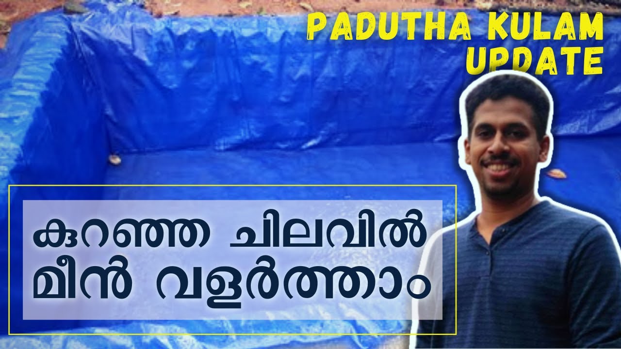 fish farming malayalam | Meen Kolam update| Padutha kulam