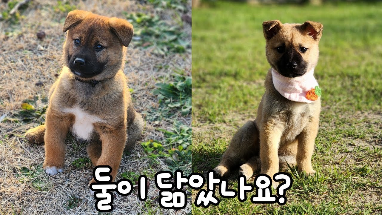 남자가 된 탄이와 춘자의 만남
