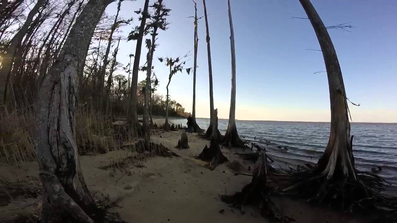 Saturday Trip to Flanners Beach