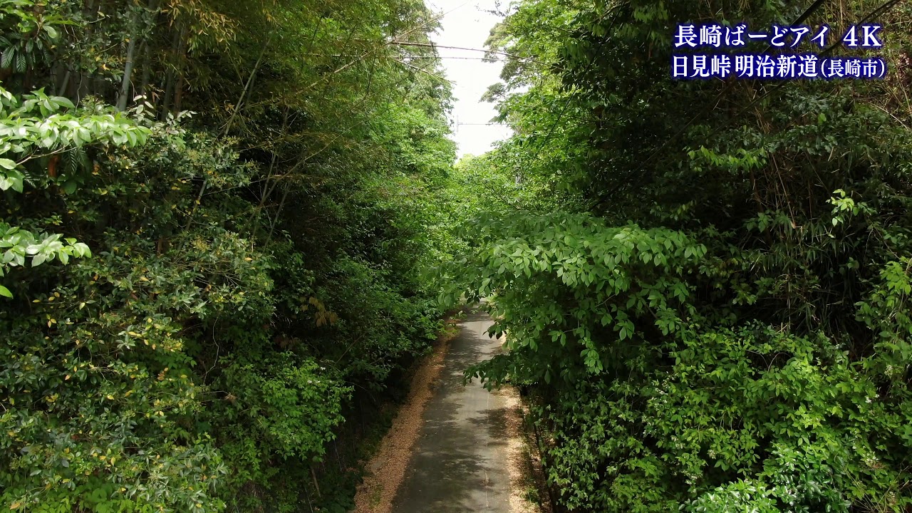 長崎ばーどアイ４K　日見峠明治新道（長崎市）