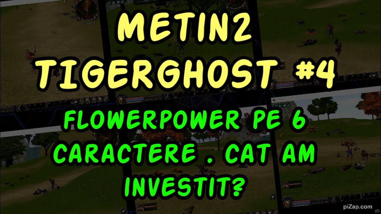 Metin2 TIGERGHOST #4 / flowerpower pe 6 caractere . cat am investit?