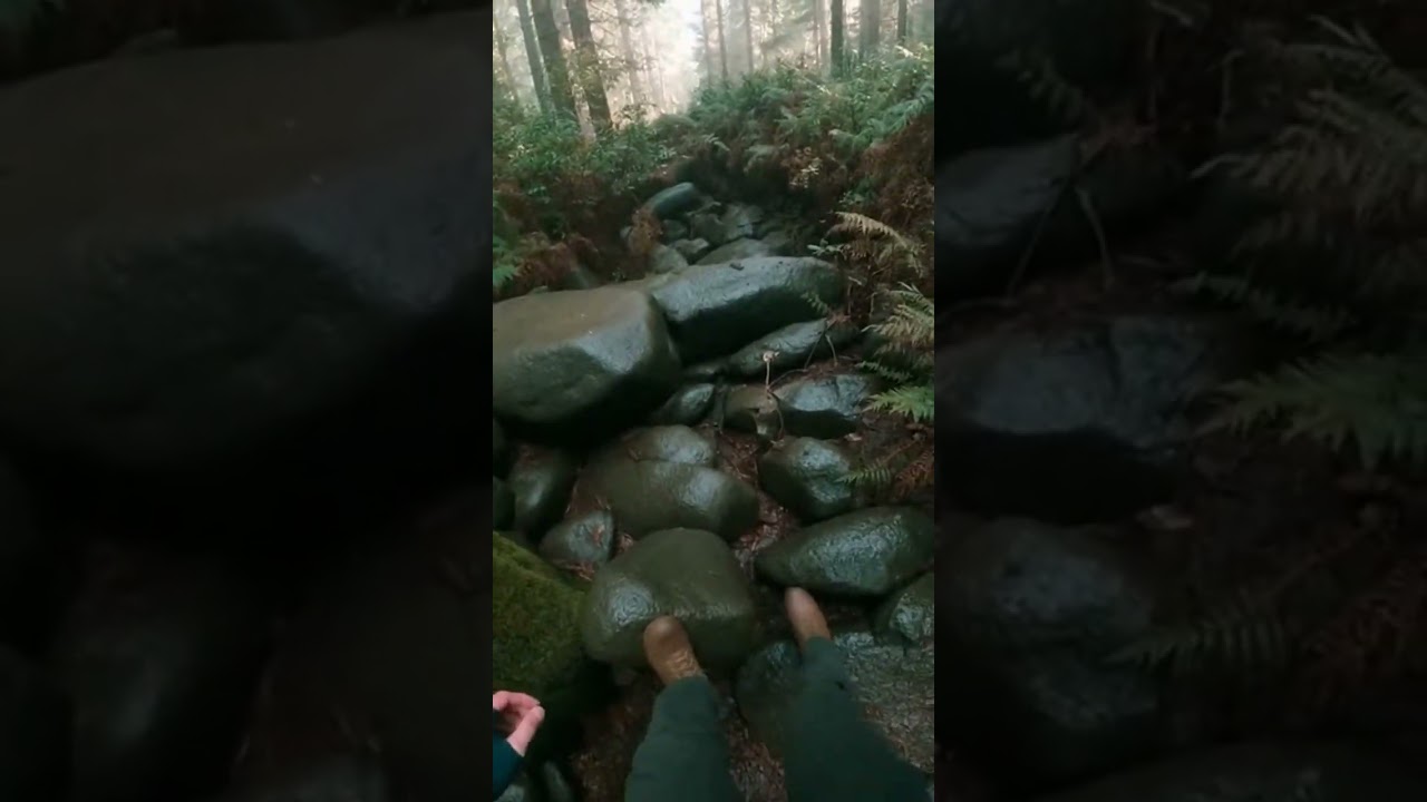 Danger Lurks in the Rocky Pass
