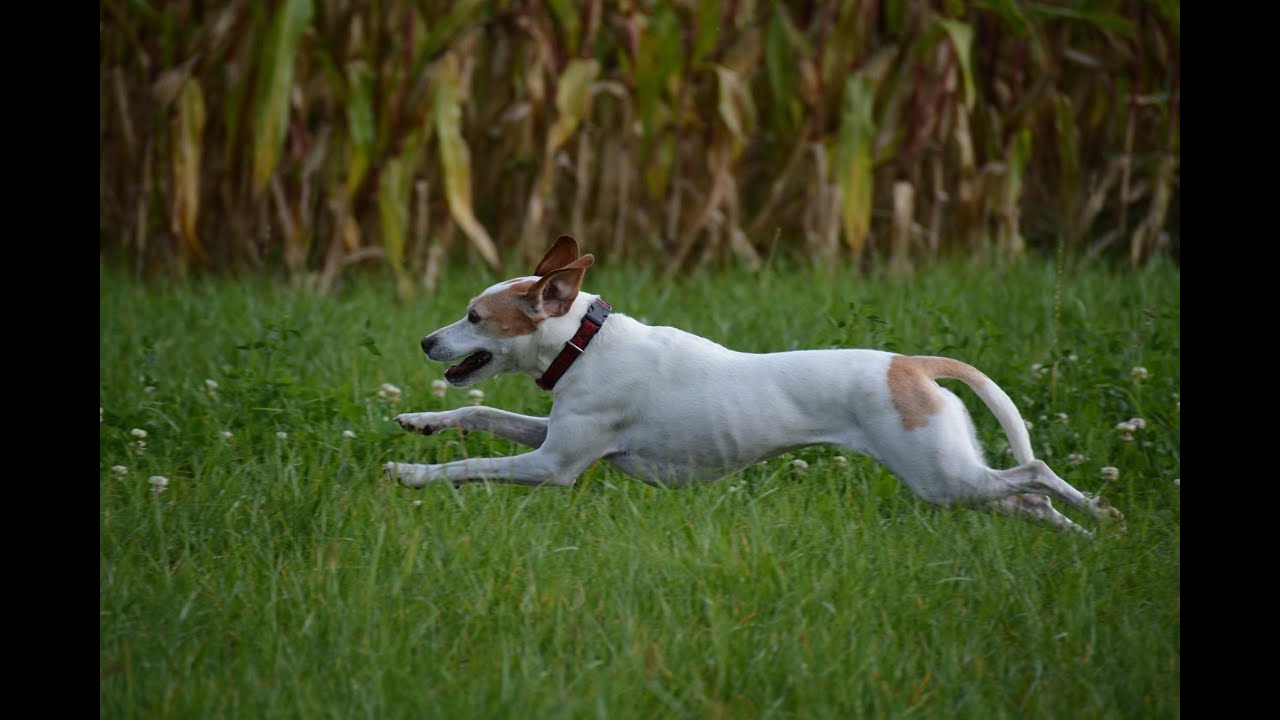 Finja: zum 16. Geburtstag am 20.04.2025