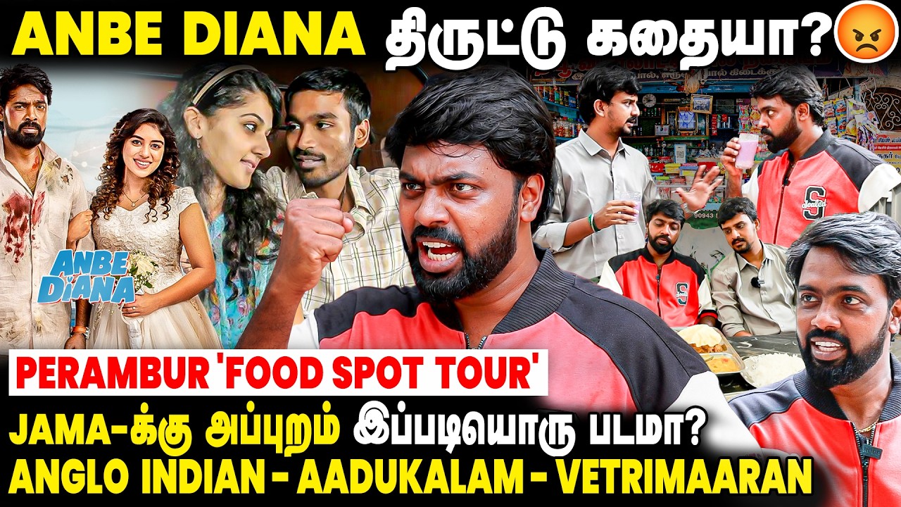 Anbe Diana திருட்டு கதைனு படமே பாக்காம சொல்லிட்டாங்க 😡 - Pari Elavazhagan Clarifies