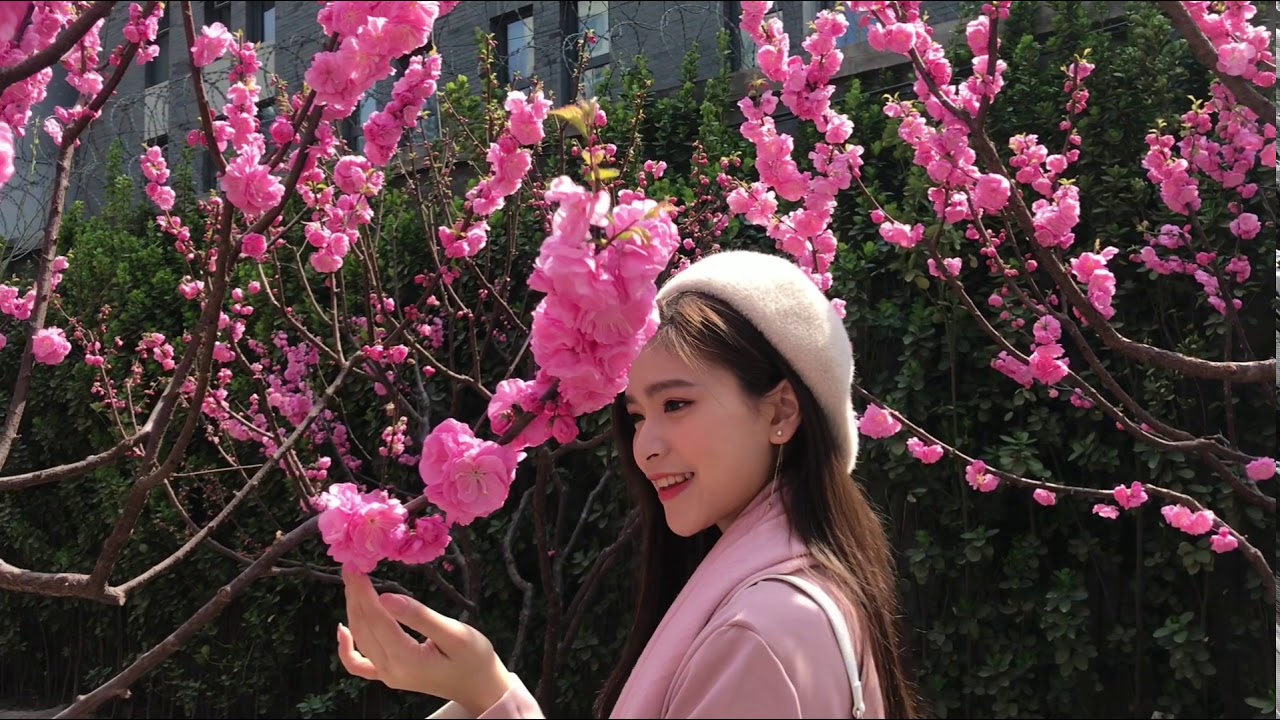 我的微視頻 廖玟婷