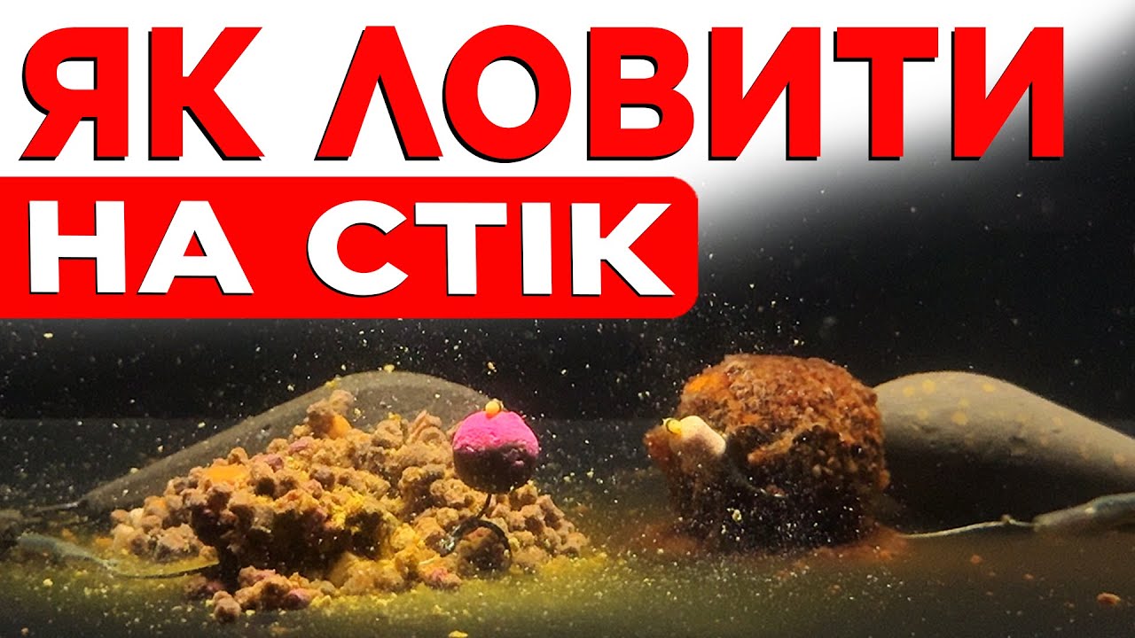 Топ-5 секретів для крутого клювання коропа! Ловля від А до Я для початківців.