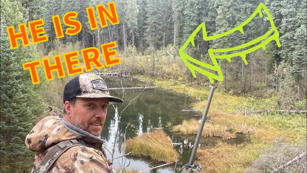 7 Min Moose Hunt In British Columbia Canada