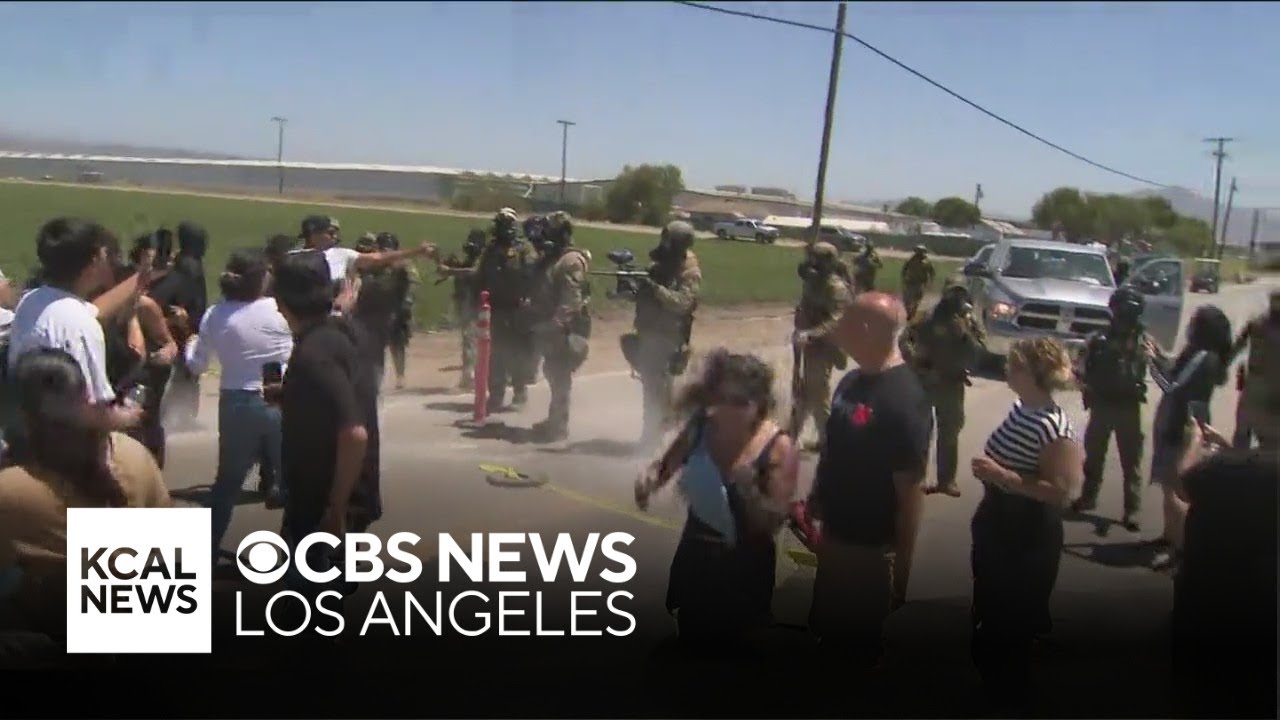 Marijuana company responds to ICE raid at its Camarillo farm