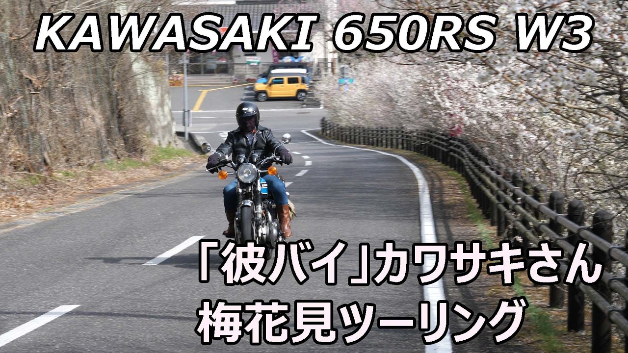 「彼バイ」のカワサキさん、 W3に乗って春を探しに出かける。