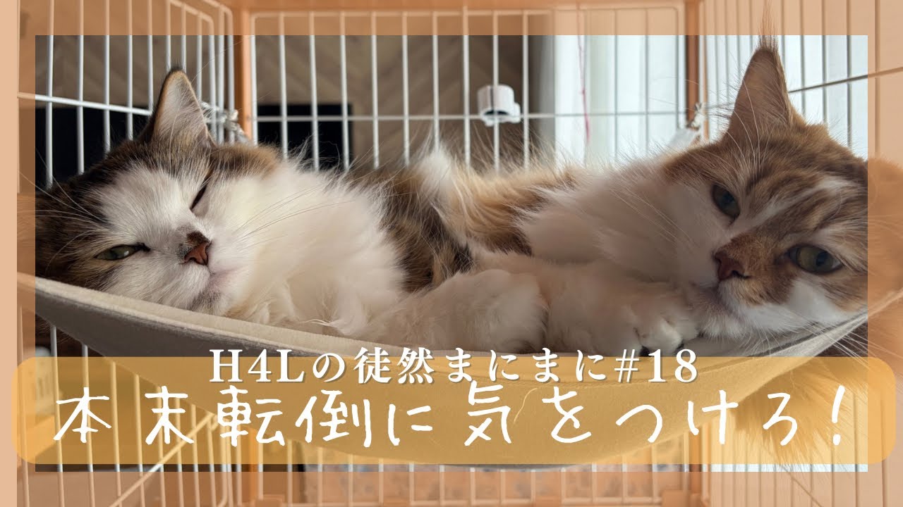 【ラジオ】徒然まにまに＃18本末転倒には気をつけろ！の巻【H4L】