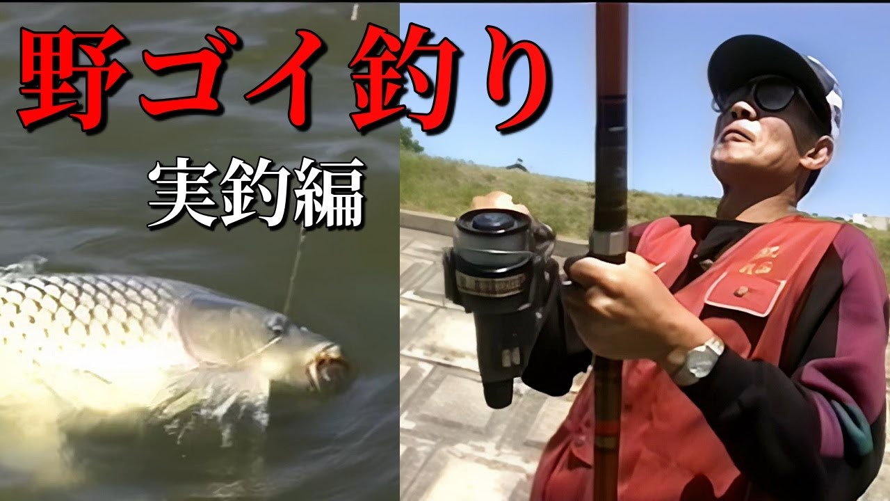 【武石勝雄】野鯉釣り　実釣編