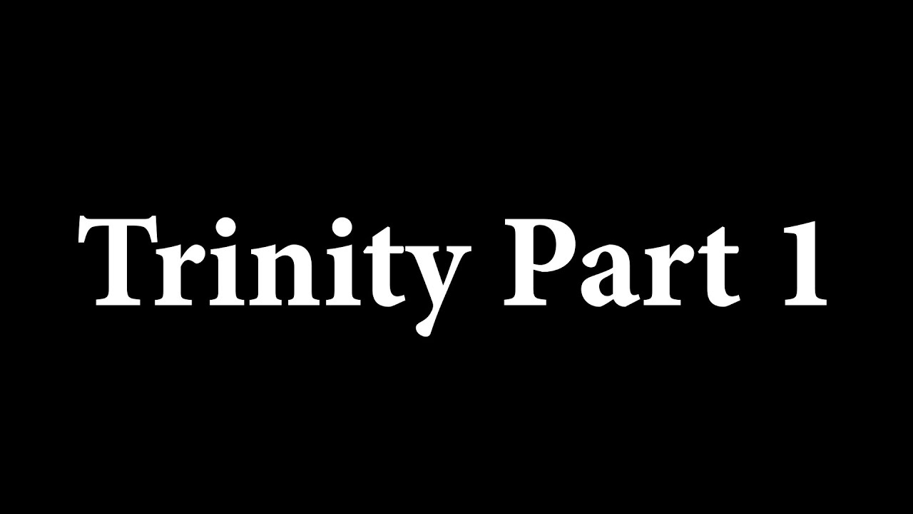 The Trinity vs. Bryan Denlinger: Part 1, Introduction and Foundations of Error
