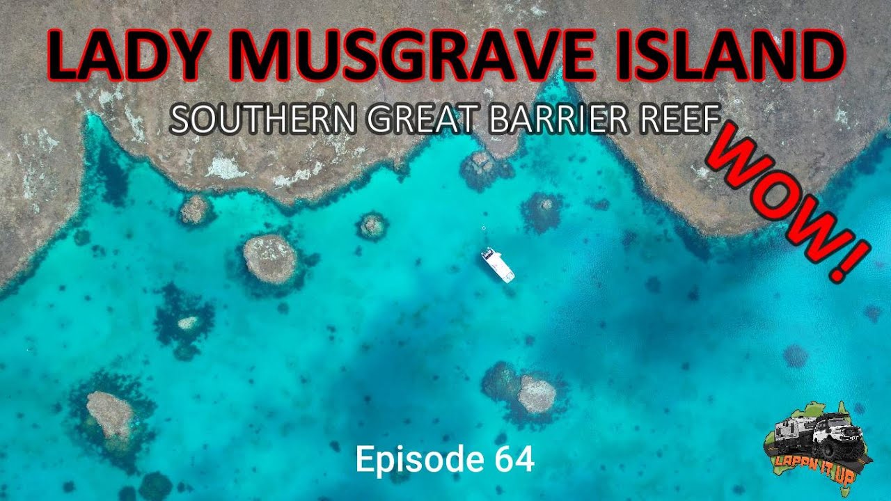 LADY MUSGRAVE ISLAND - Great Barrier Reef -WOW Episode 64