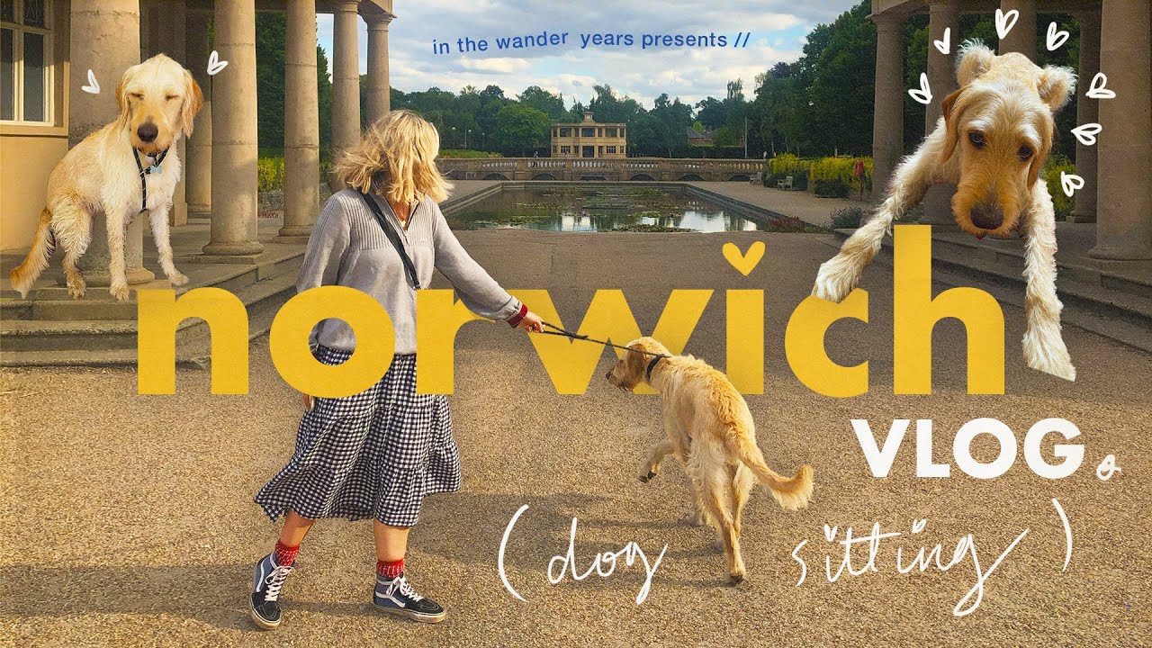 norwich diaries // dogsitting & dr martens updates