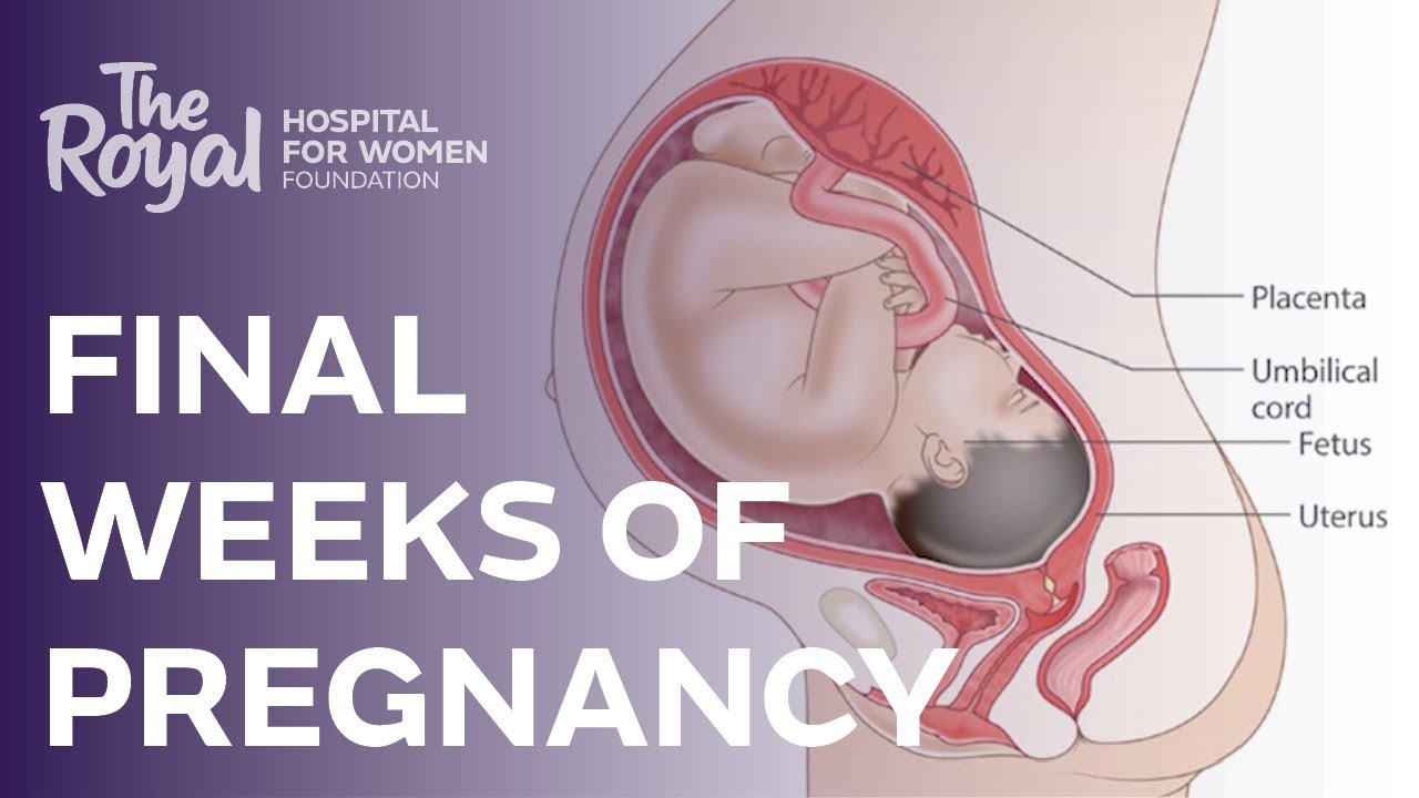 What To Expect In The Final Weeks Of Pregnancy