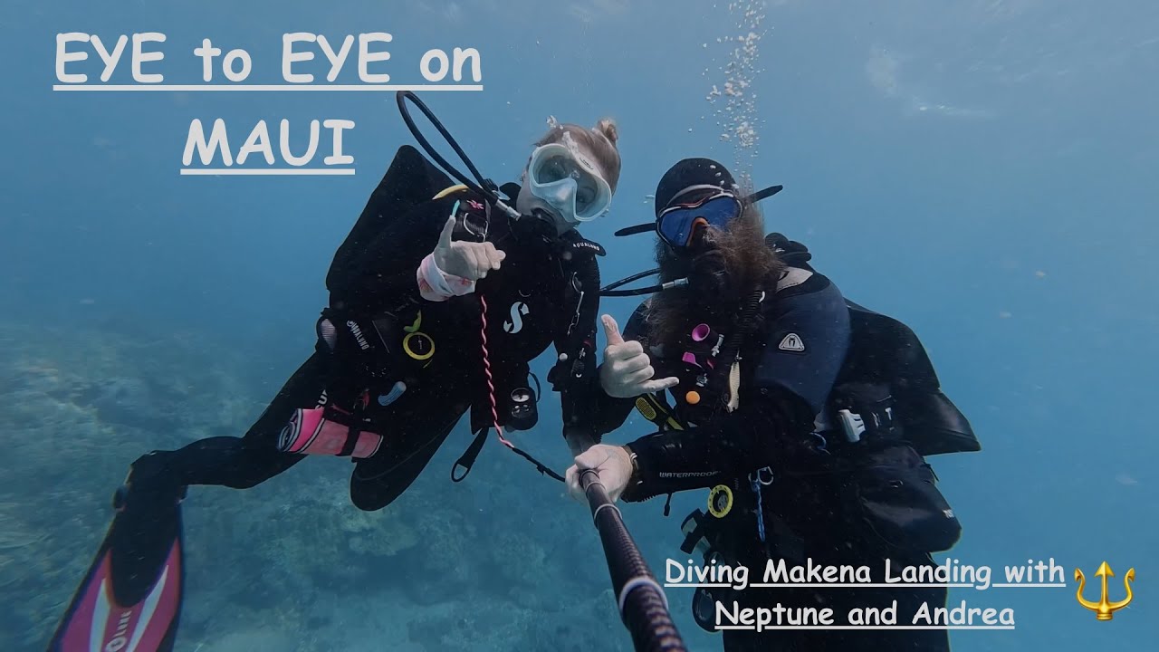 Face to Face | 🔱 Neptune & Mermaid Andrina Dive with Sharks, Turtles, Eels & Manta Rays on MAUI
