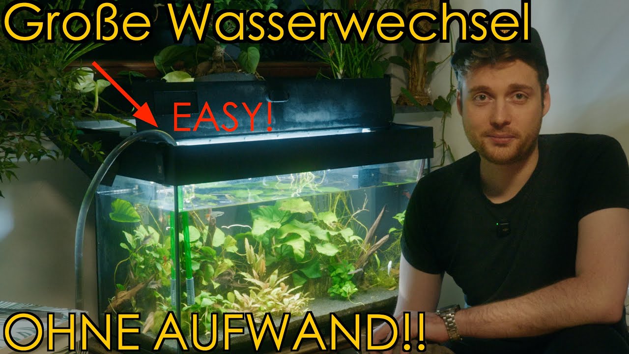 Stressfreie Wasserwechsel im Juwel Aquarium | JBL ProClean Aqua In-Out