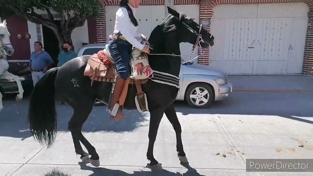 Que Chulada de Caballos en la Cabalgata de Huitzuco Guerrero, y un ambiente de lo mejor