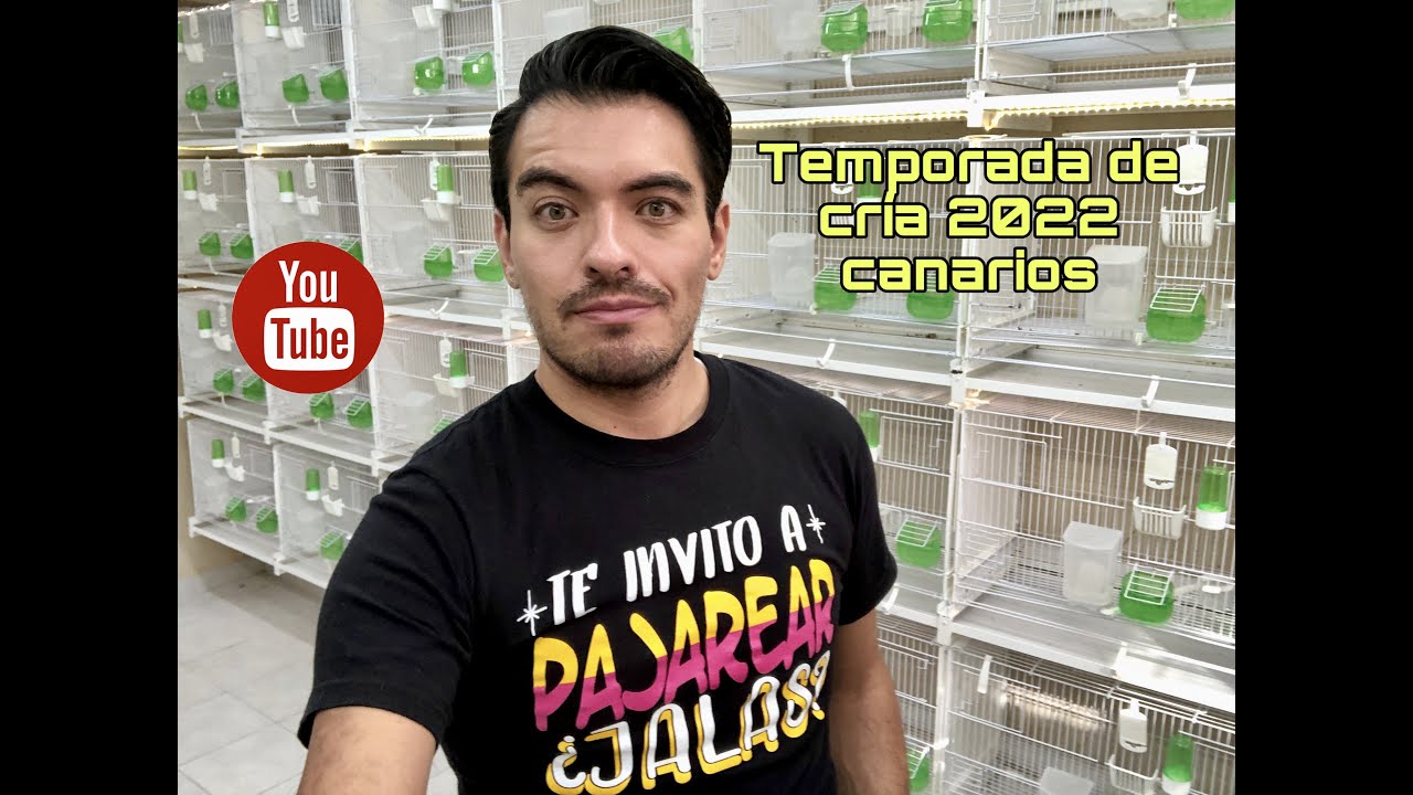 Preparación para la Cría, Canarios 2022
