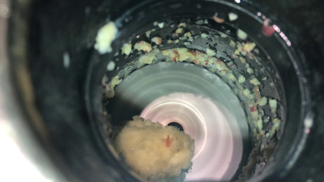 Apple In Garbage Disposal