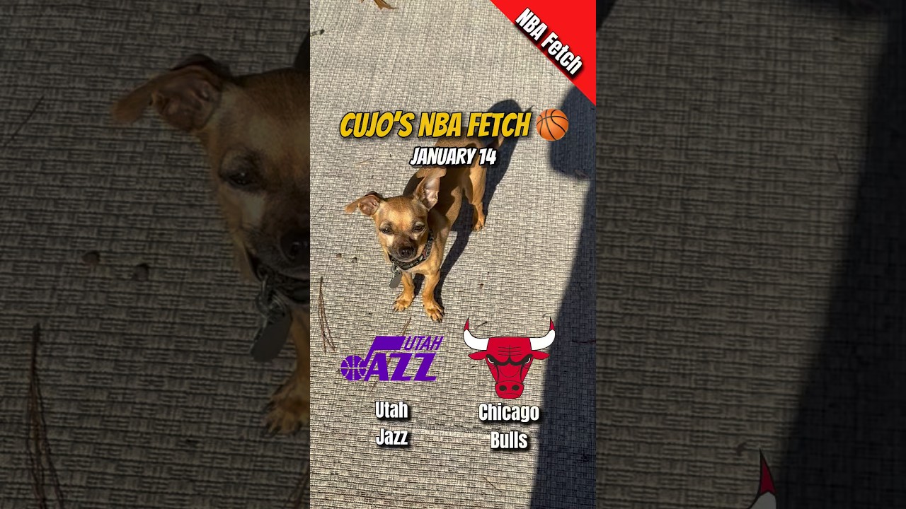 Cujo’s NBA Fetch | Utah Jazz vs Chicago Bulls 🐕 01-14-2026 NBA Basketball 