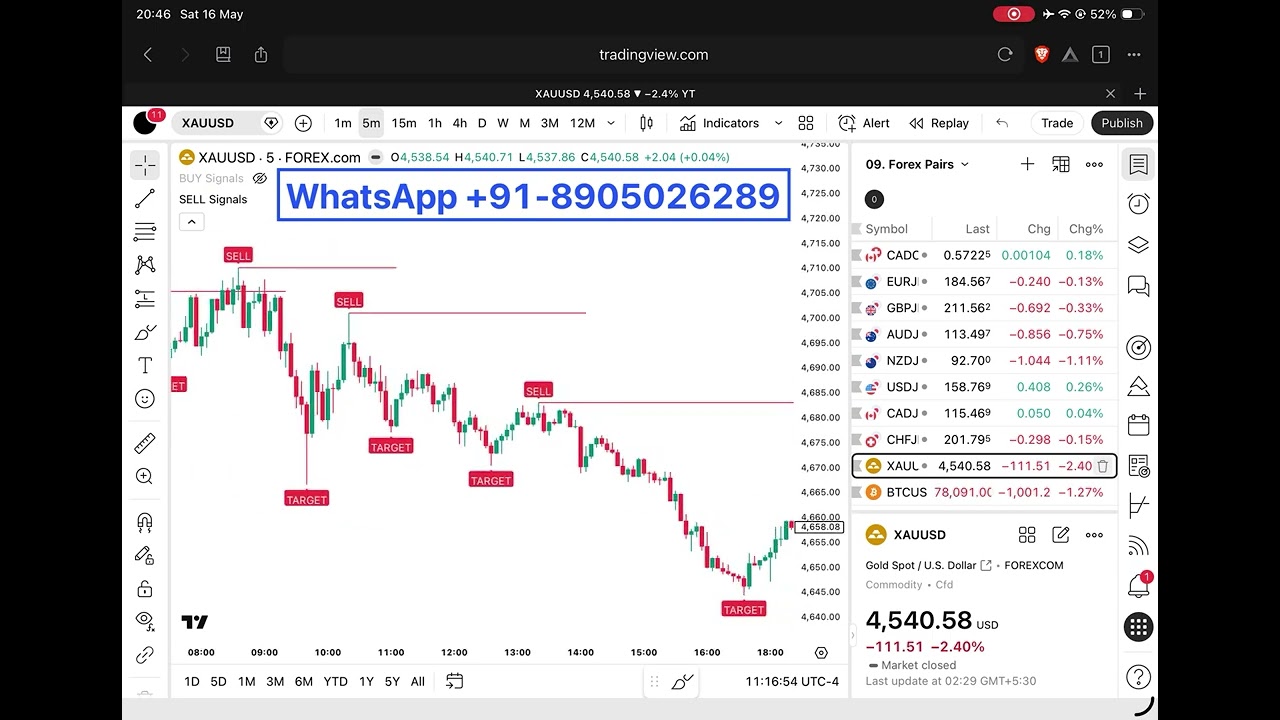 I Tested 1000 Indicators... Impossible to Lose with THIS One! 