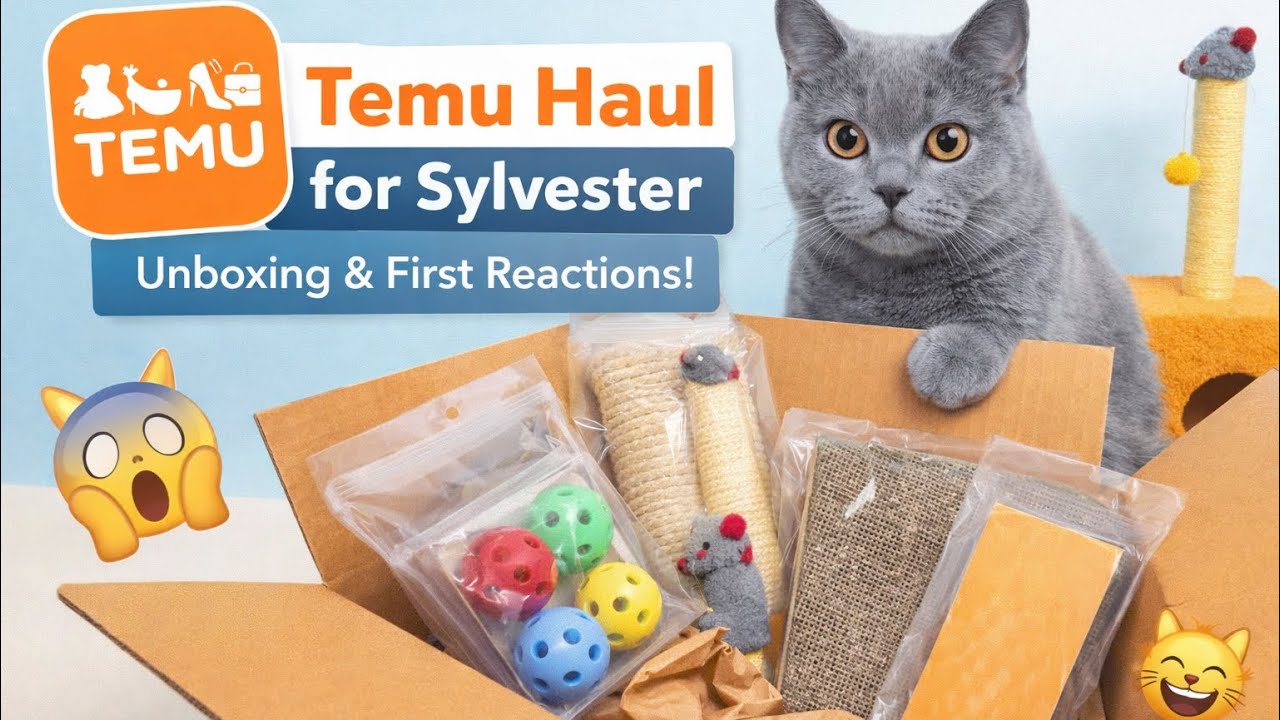 Temu Cat Haul for Sylvester — Unboxing & First Reactions!