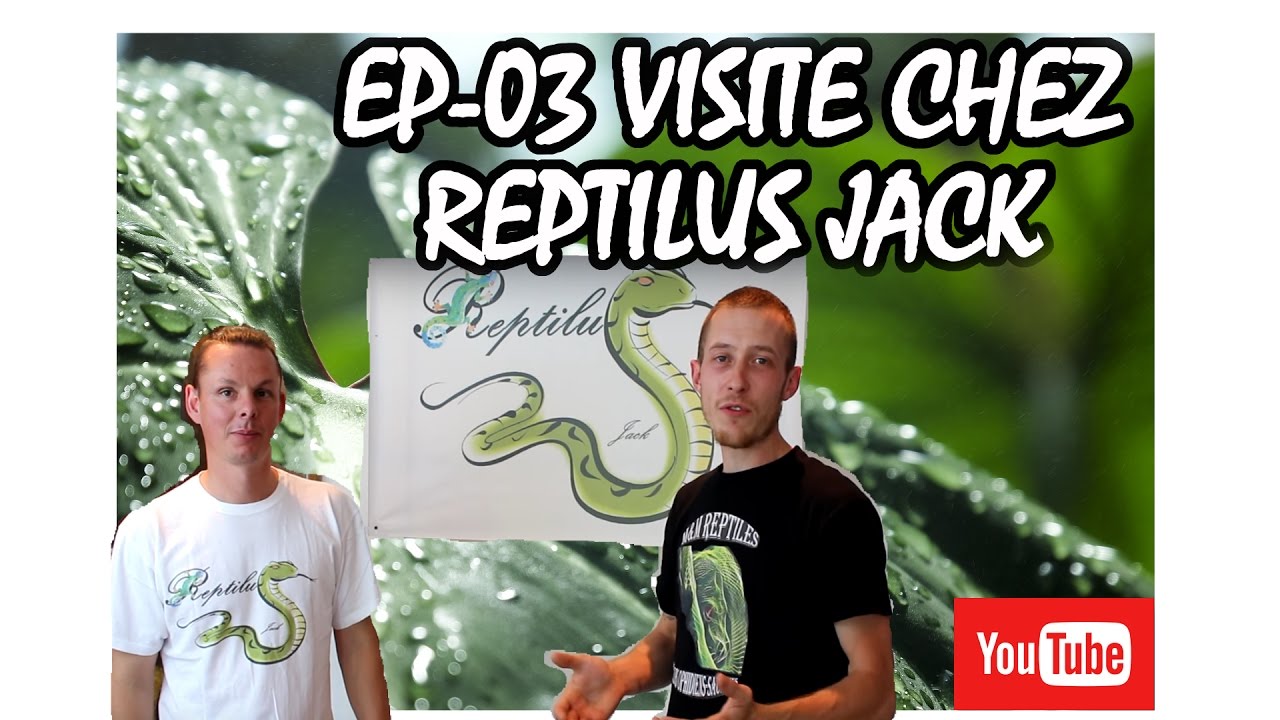 Ep03 Visite chez Reptilus Jack
