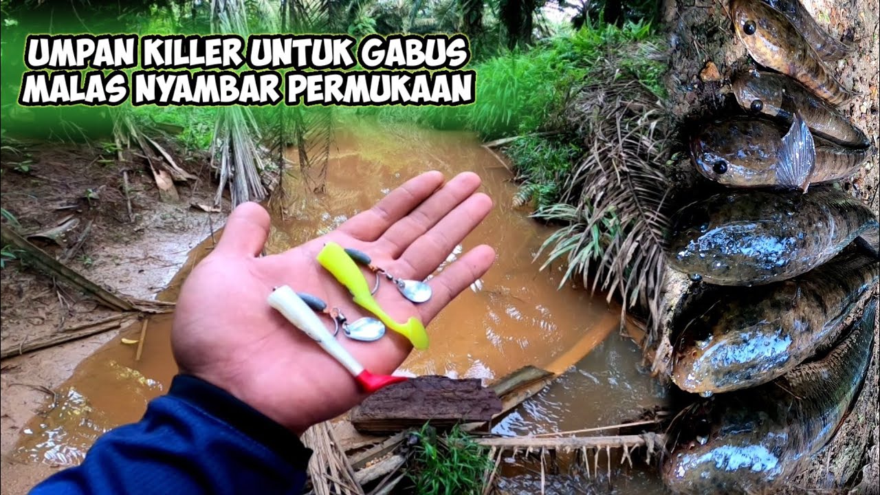Casting Gabus Haruan Pakai Umpan Soft Lure Blade, Soft frog ‼️Kaizen Saitama