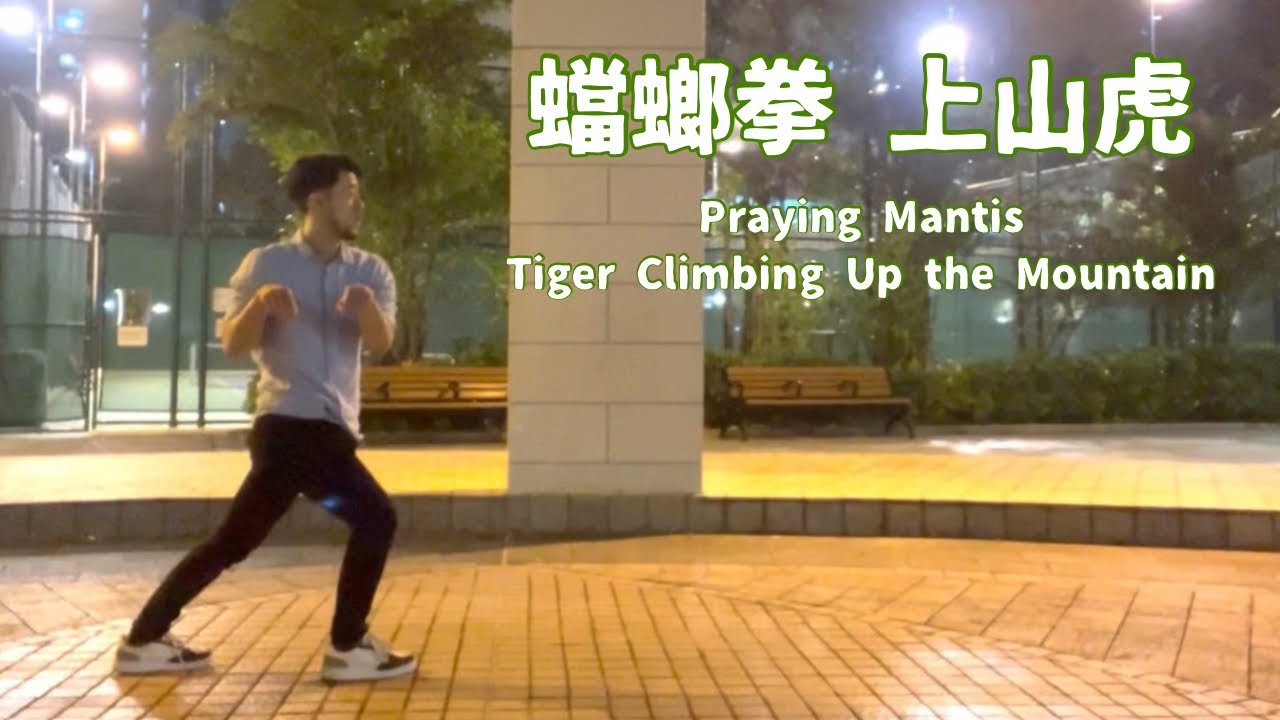 【蟷螂拳】上山虎 後編 Praying Mantis Tiger Climbing Up the Mountain 