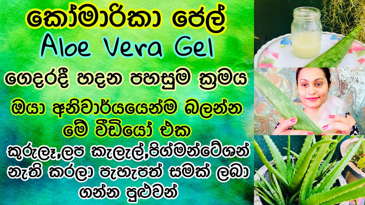 කෝමාරිකා ජෙල් ගෙදරදී හදමු |  How to make Aloe Vera Gel at Home