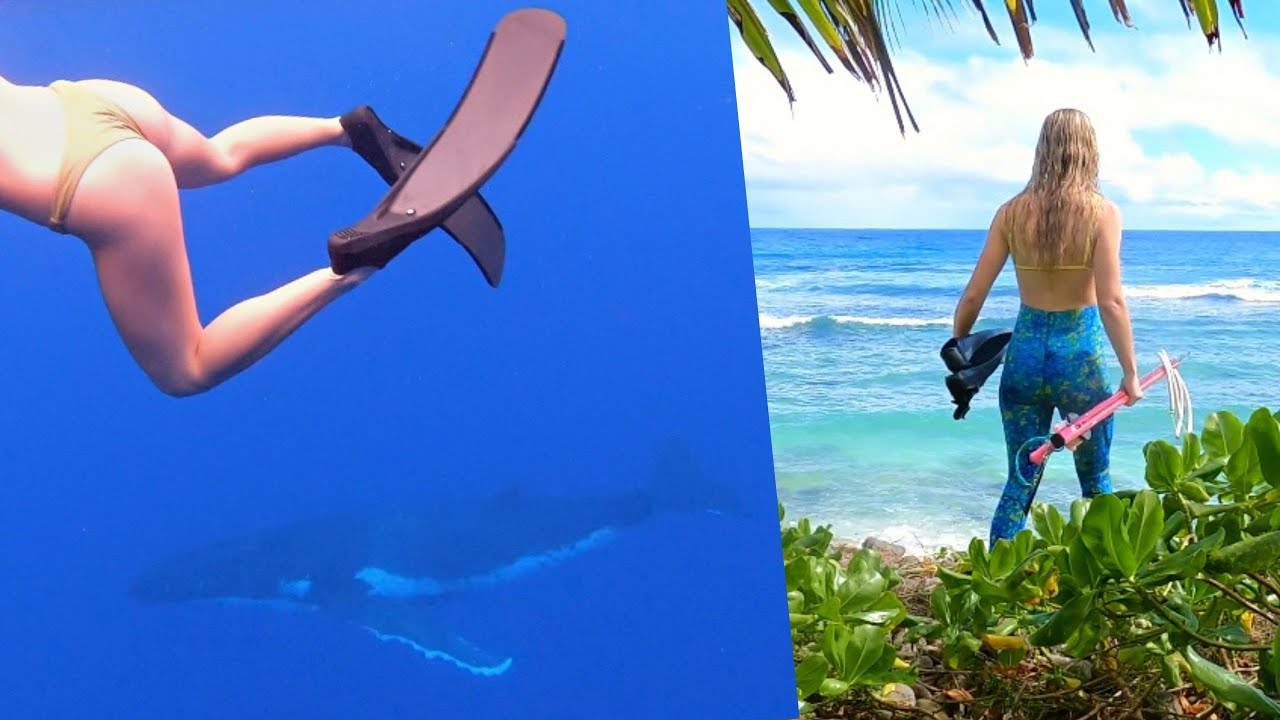 Spearfishing from Airbnb in RAROTONGA! Shorediving with HUMPBACK WHALES!