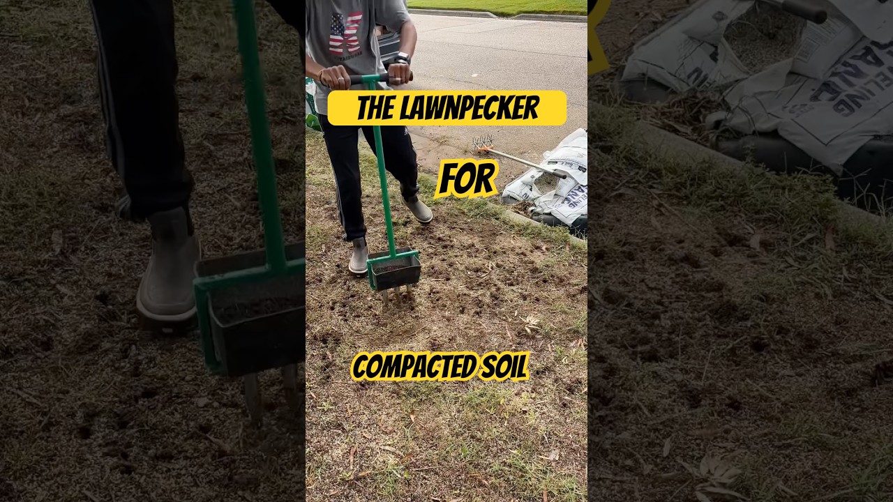 BEST Manual Aerator Hands Down! #lawn