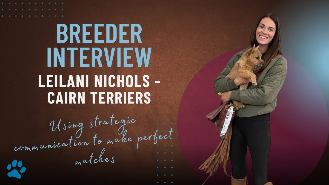 12 Days of Breeders 2025 - Day 9 - Leilani Nichols of Northwest Cairn Terriers