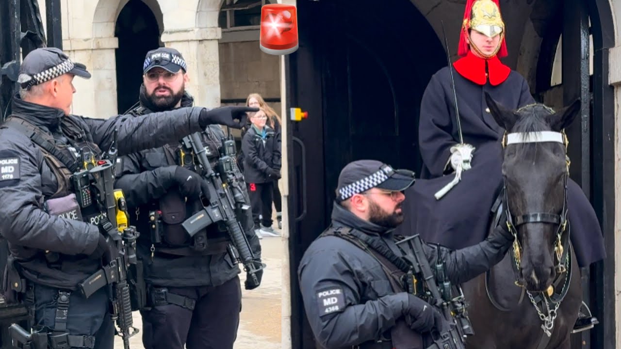 🚨Armed Police Step In to PROTECT the Guard Horse as THIS Happens | Horse Guards Parade London 