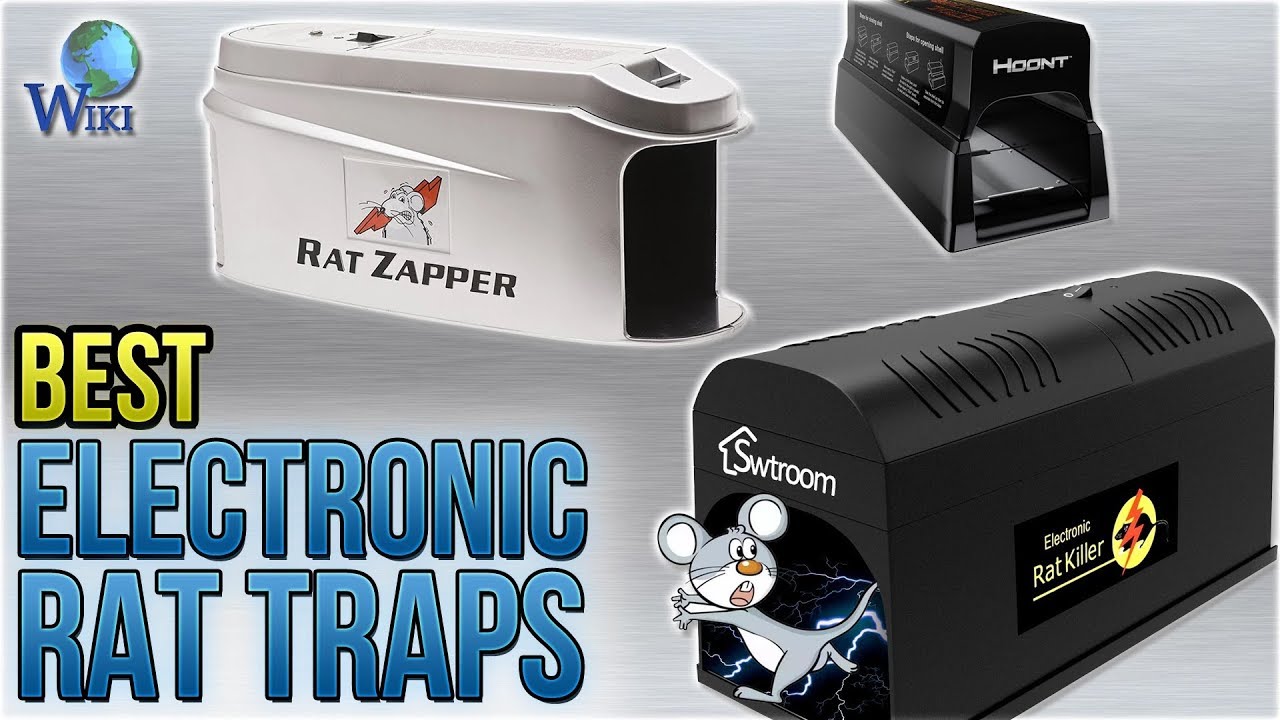 8 Best Electronic Rat Traps 2018