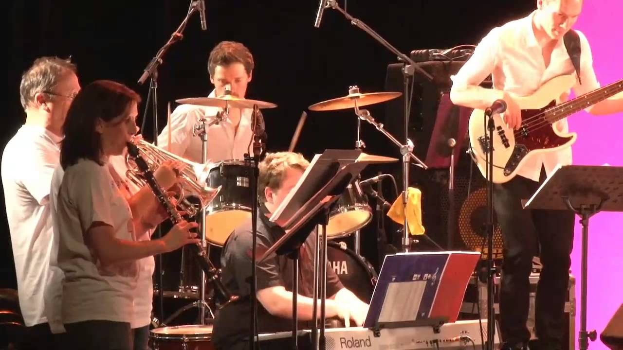 Tout le monde veut devenir un cat - Chorale des collèges 2014
