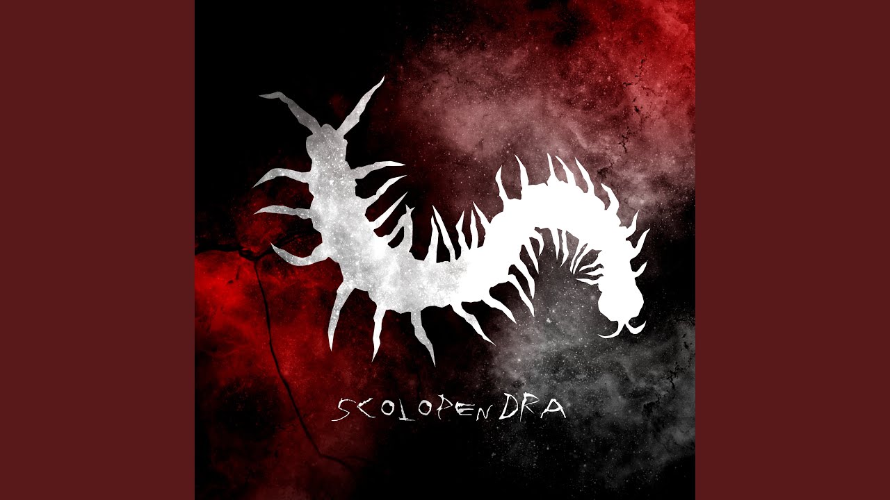 Scolopendra