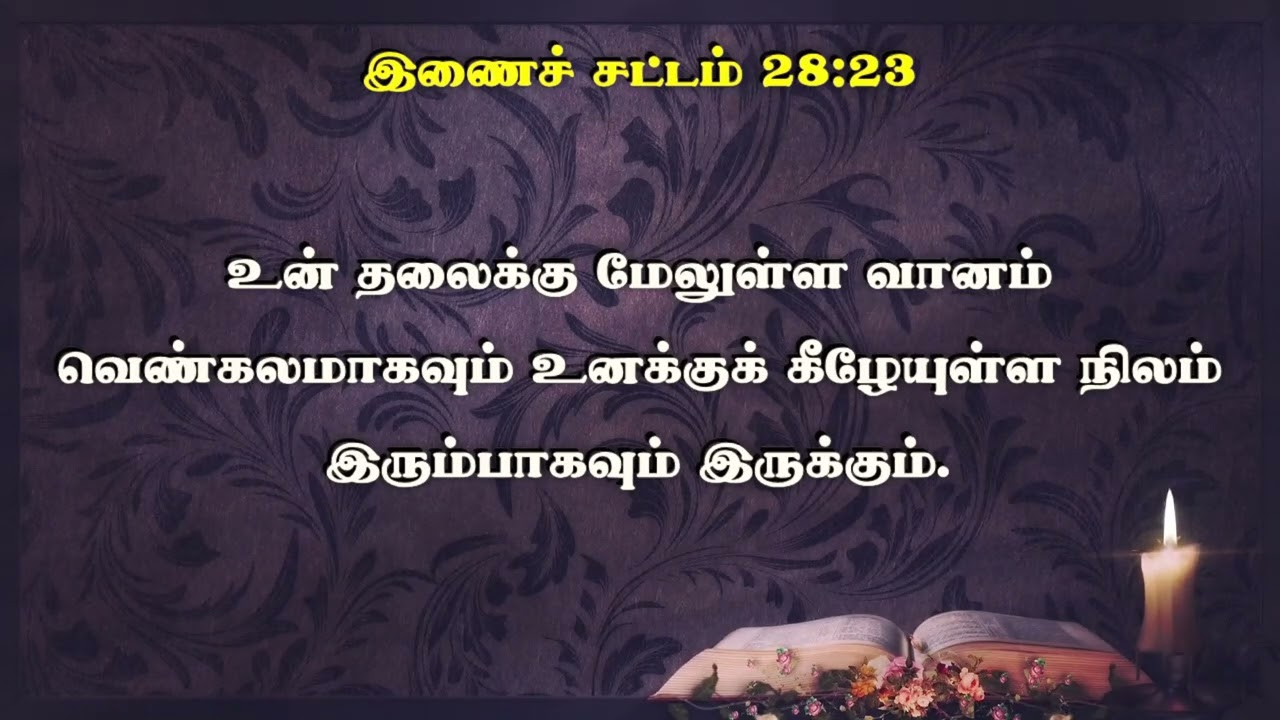 இணைச்சட்டம் 27x28 | Deuteronomy 27x28 #catholicbibletamil   #bible2026 #deuteronomy