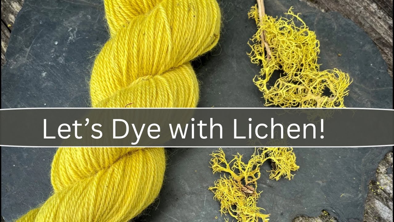 How to Make a Natural Dye Using Lichens