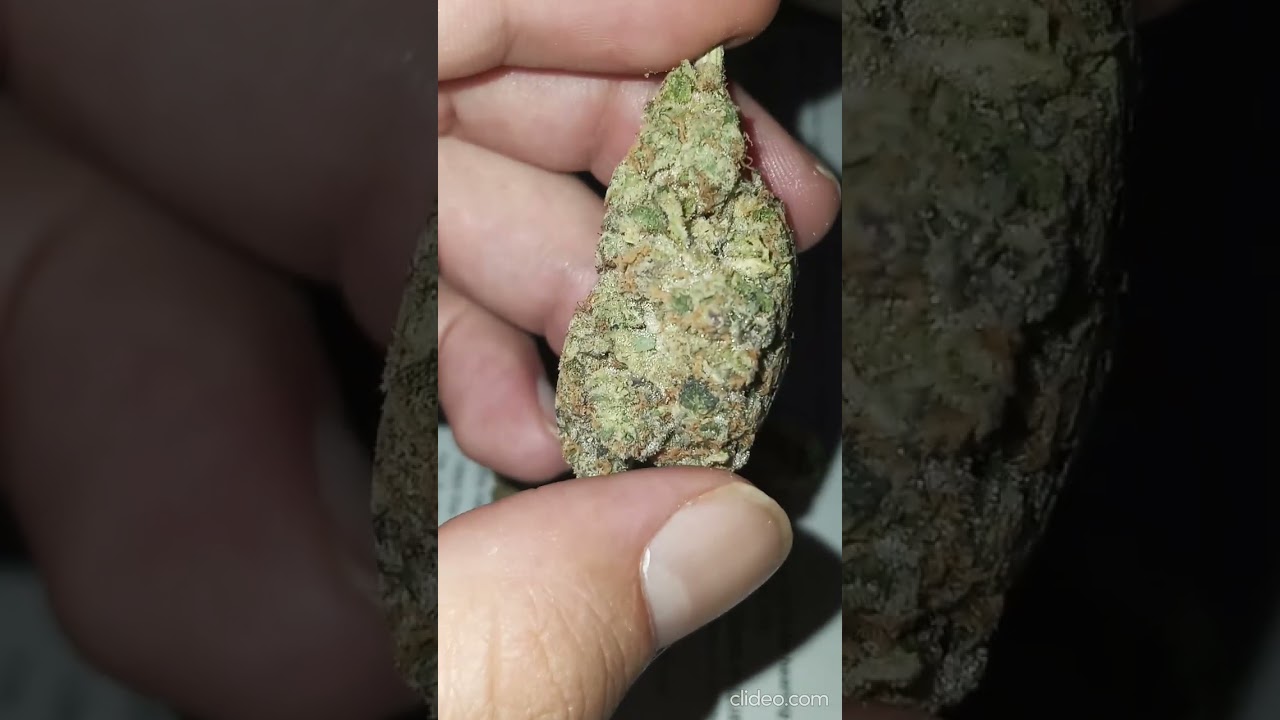 Hotbox Mad Rabbit 3.5G