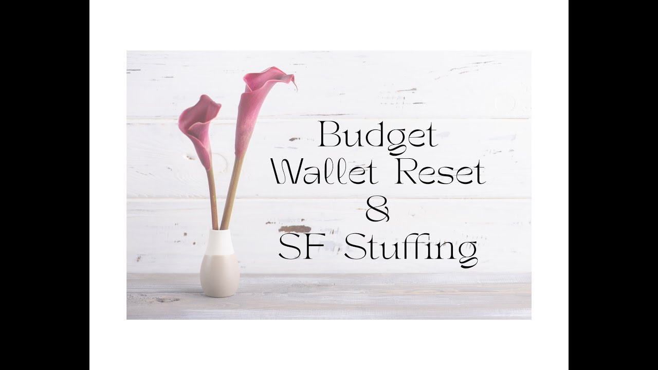 Budget/Wallet Reset/Cash Stuffing Sinking Fund and a new freebie (