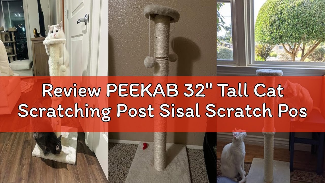 Review PEEKAB 32