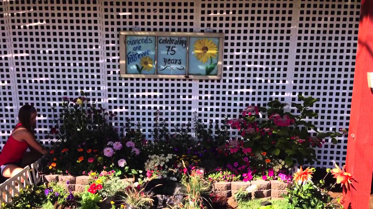Makayla chavez building a land scape garden for Sonoma county fair 2014