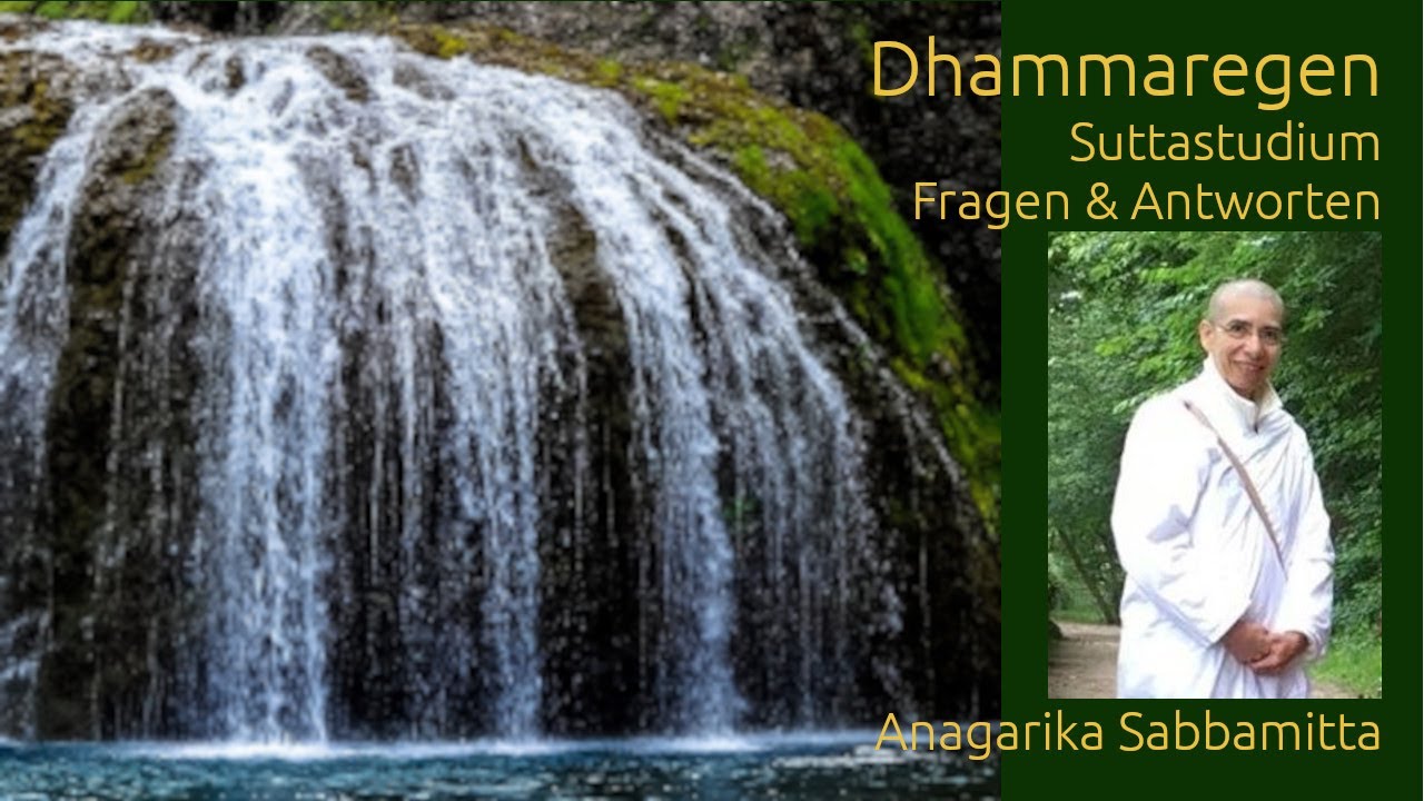 Dhammaregen - Suttastudium Fragen & Antworten! Anagarika Sabbamitta