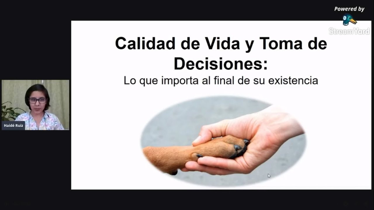 Calidad de Vida y Toma de Decisiones: Lo que importa al final de su existencia.