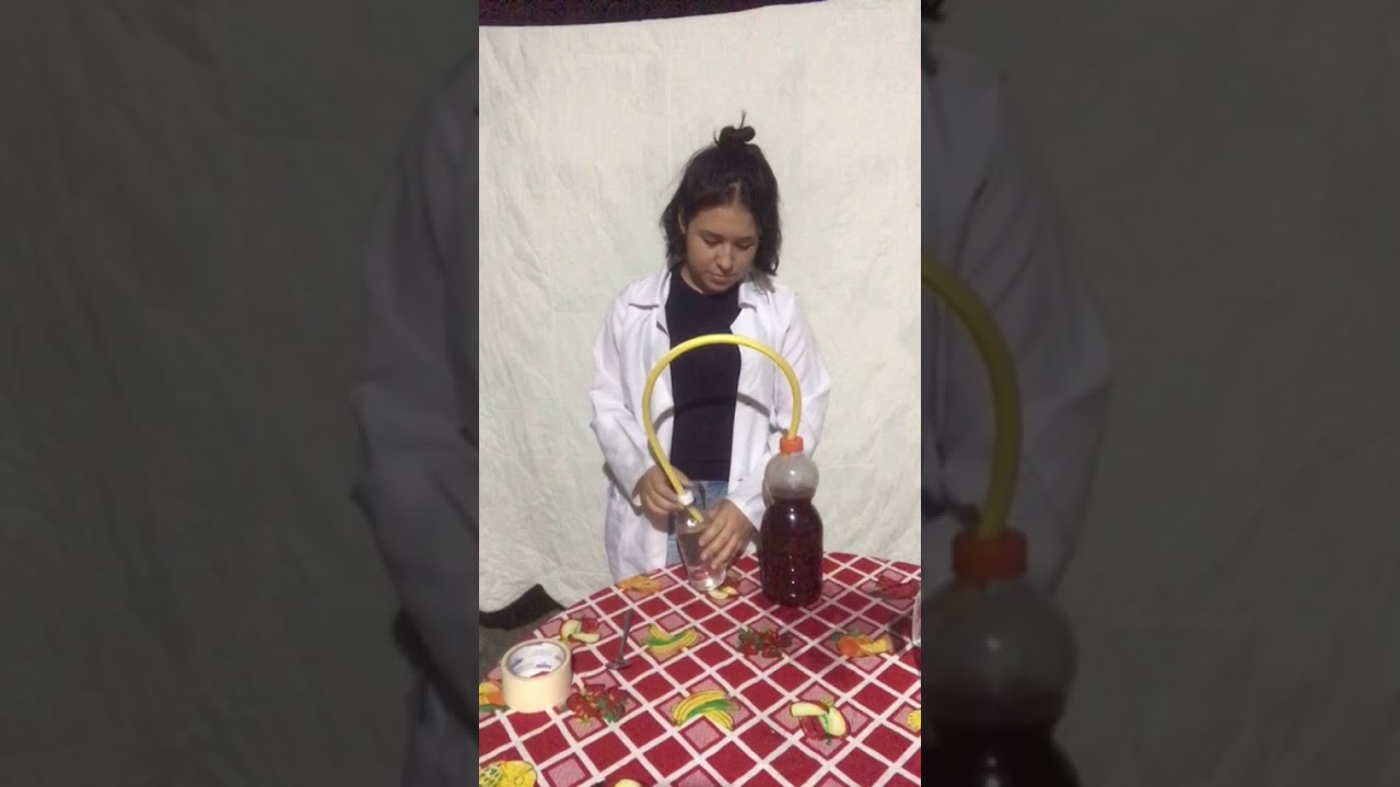 Vino de flor de jamaica