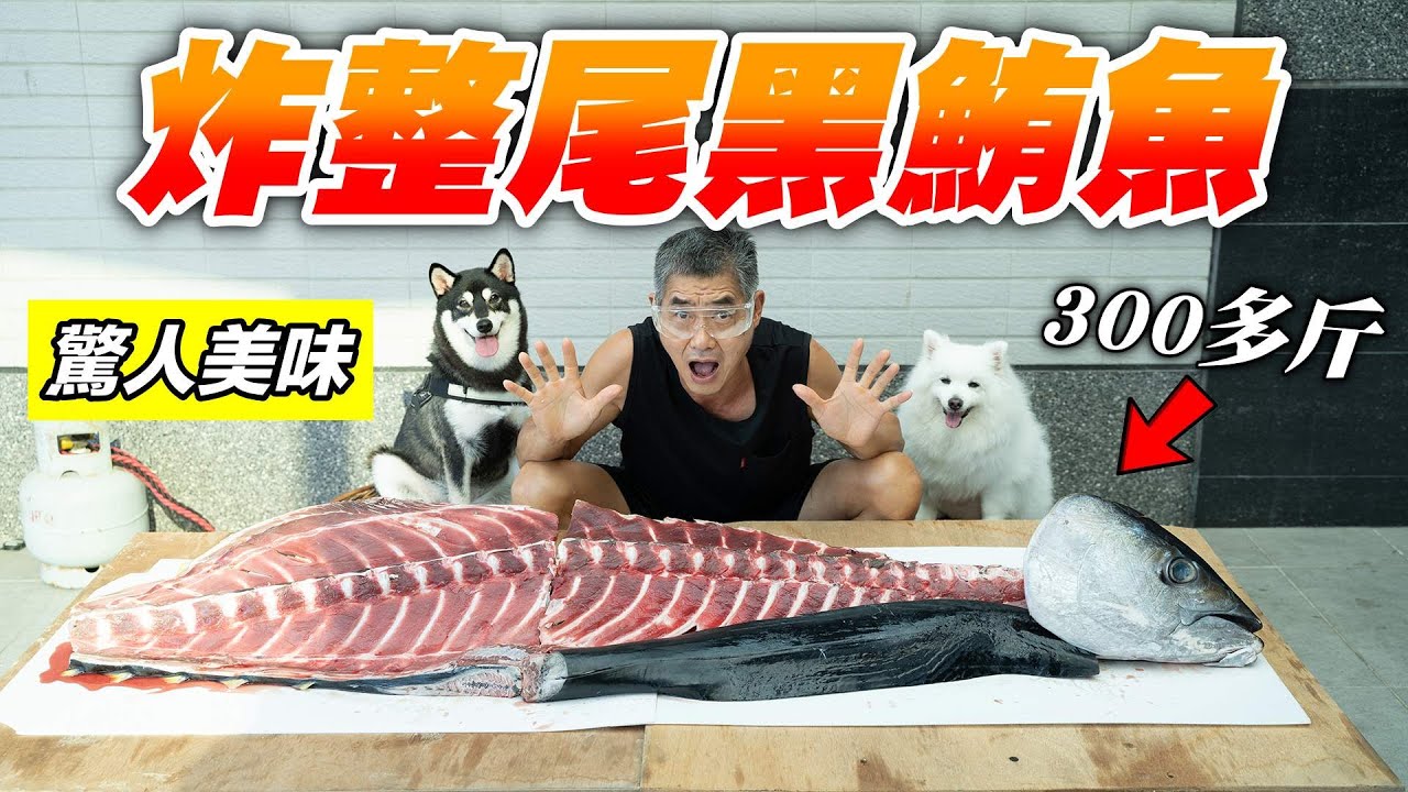 炸整尾黑鮪魚，重達300多斤！『油炸系列EP15-驚人美味』Fried whole tail black tuna !