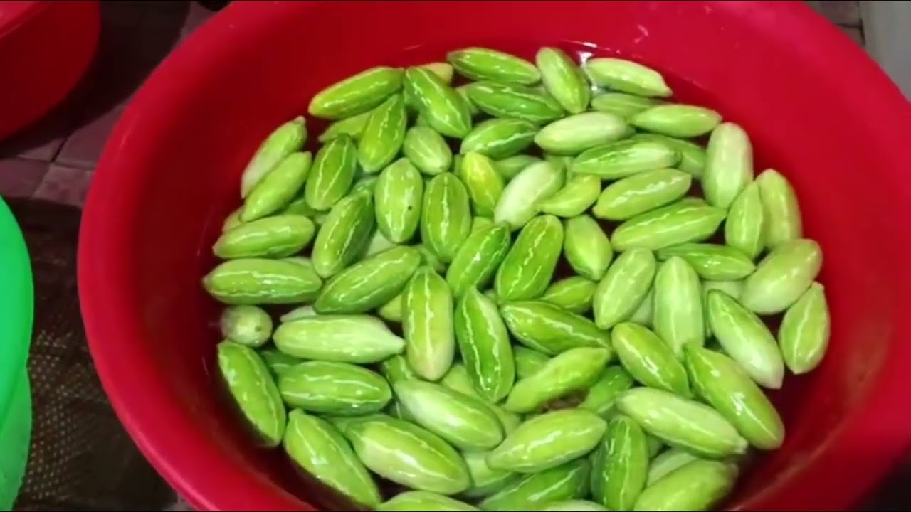 Dưa leo rừng muối chua ngọt  ngon dọn 